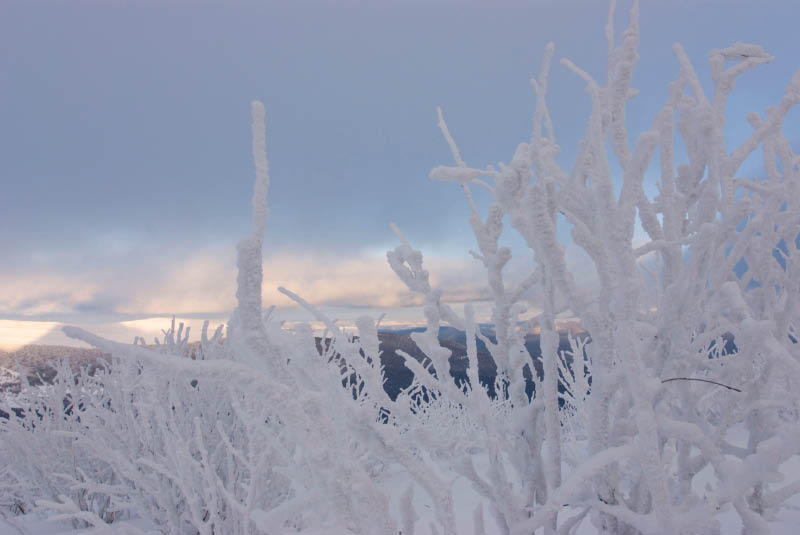 Bieszczady30